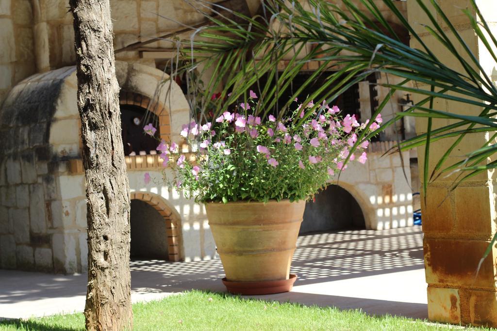 Villa Alimedon Almirida Buitenkant foto